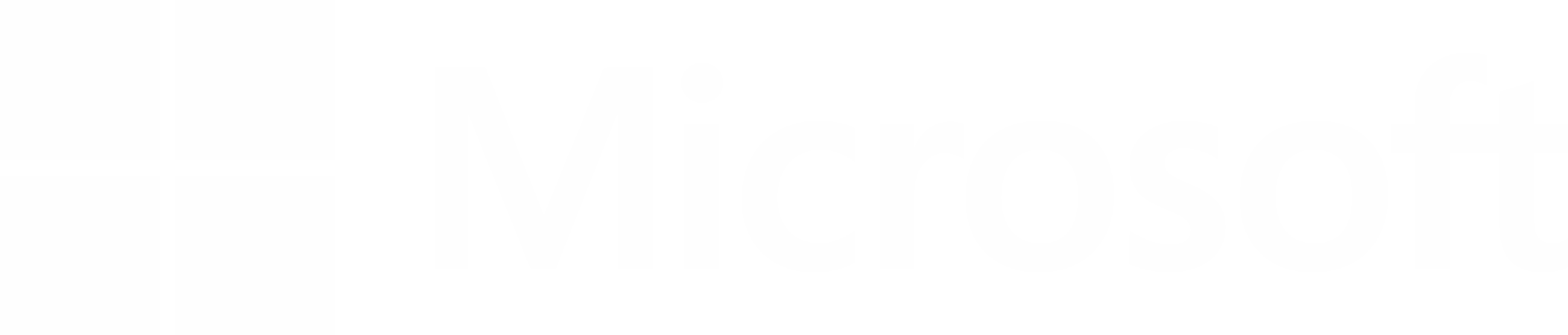 Microsoft Partner